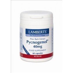 LAMBERTS PYCNOGENOL 40mg 60caps