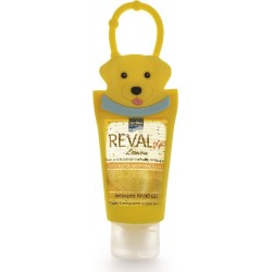 REVAL PLUS HAND GEL LEMON ΜΕ ΚΙΤΡΙΝΗ ΘΗΚΗ ΣΚΥΛΑΚΙ 30ml