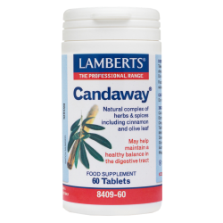 LAMBERTS CANDAWAY 60tabs